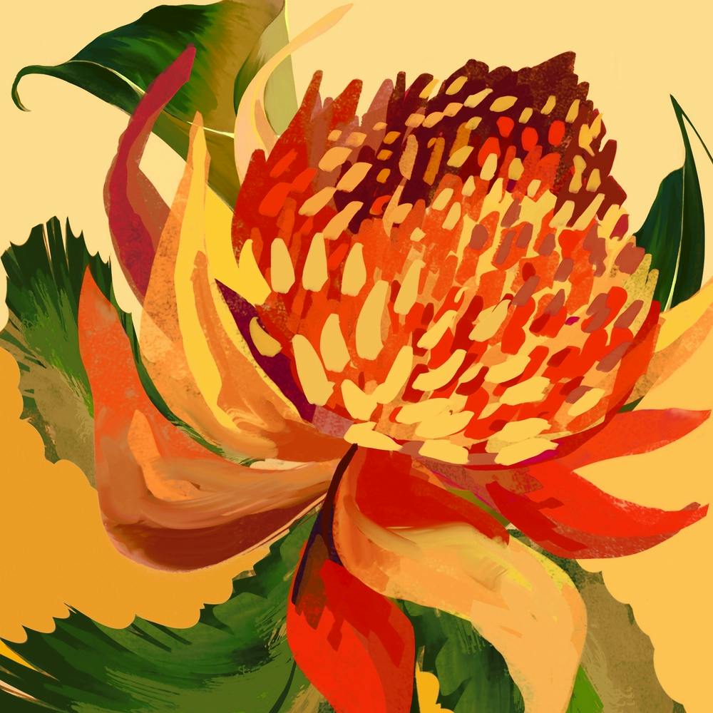 King Protea Abstract Square