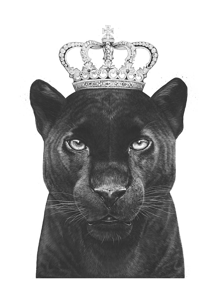 The King Panther