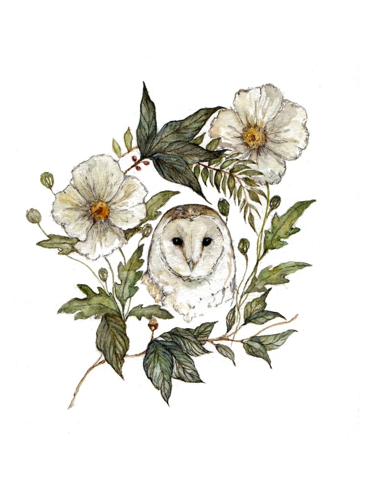 Floral Owl