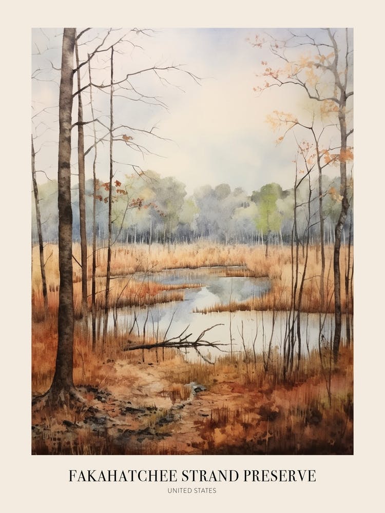 Autumn Forest Landscape Fakahatchee Strand Preserve Poster