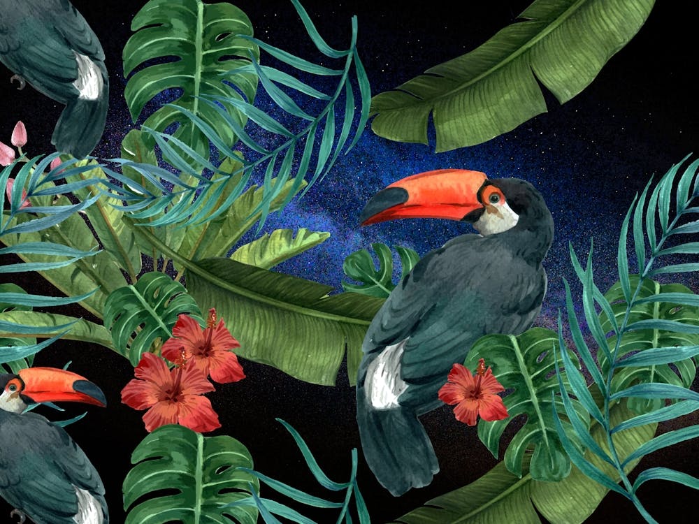 Tropical Synthwave Space Garden #13: Toucan