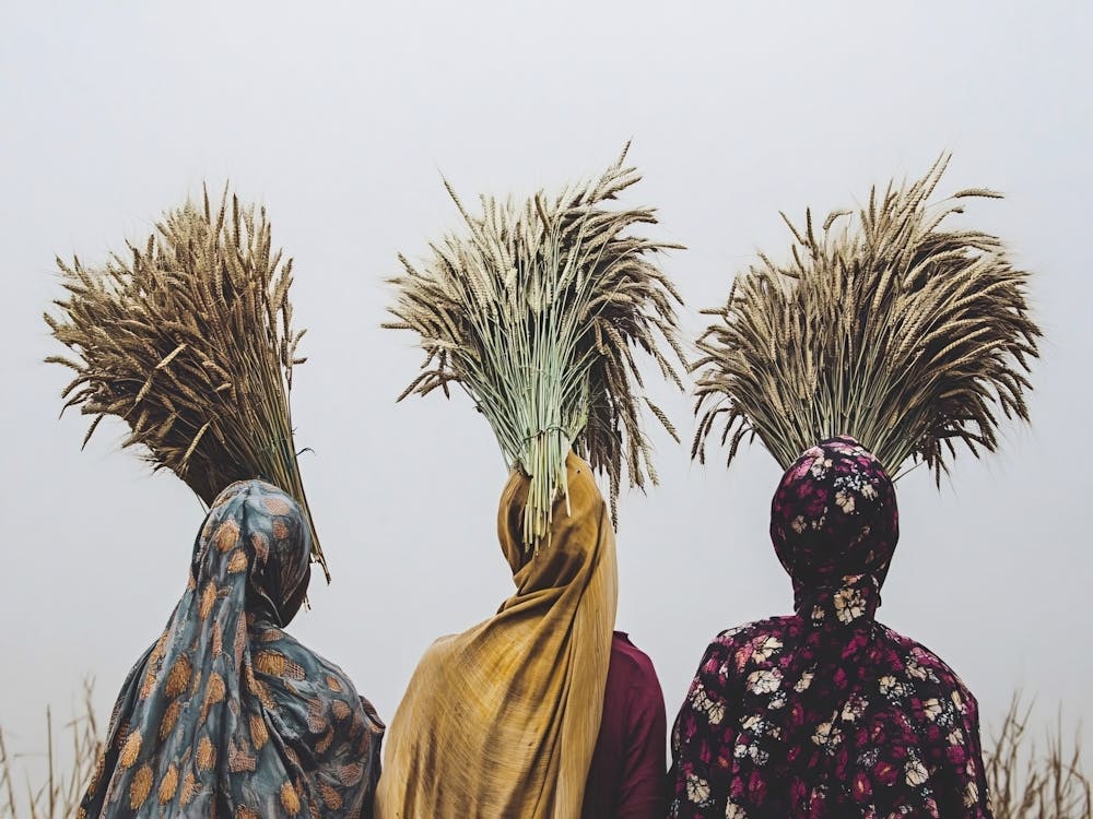 Three African Women In A Field