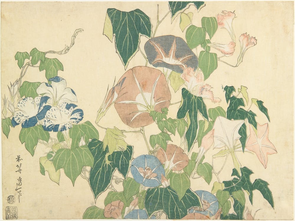 Morning Glories And Tree Frog , Katsushika Hokusai