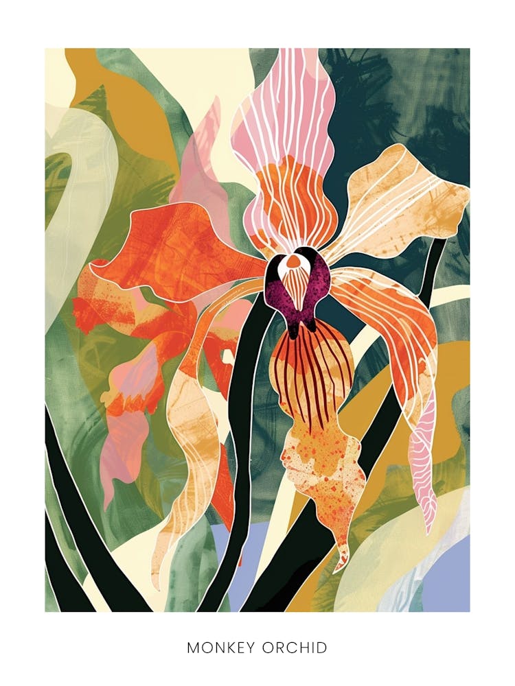 Colourful Flower Illustration Poster Monkey Orchid 2