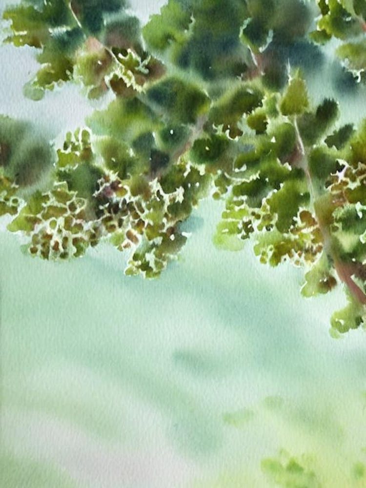 Acropora Vaughani Iiii Storybook Watercolour