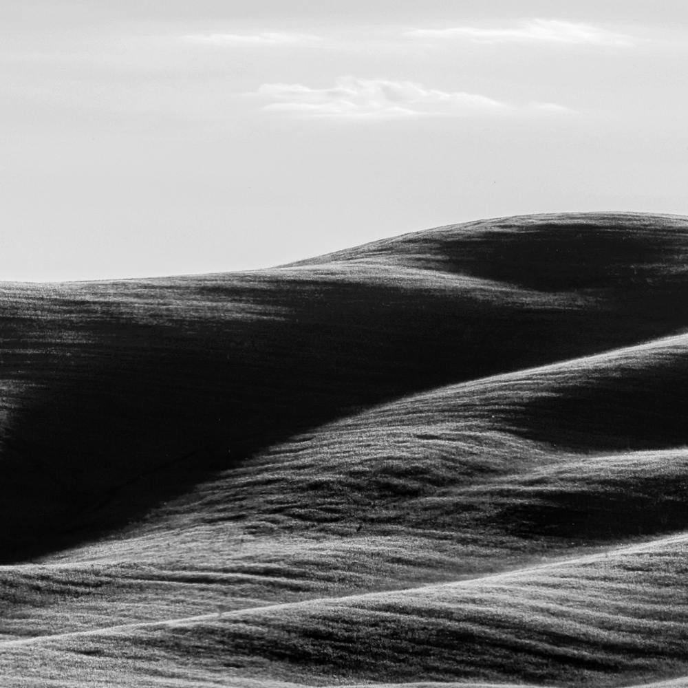 Italy Tuscany Rolling Hills 2of3 Bw Square