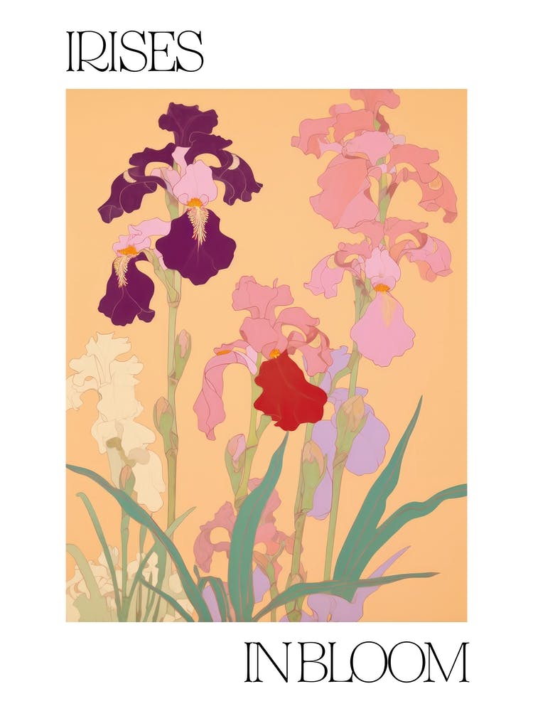 Irises In Bloom Flowers Bold Illustration 3