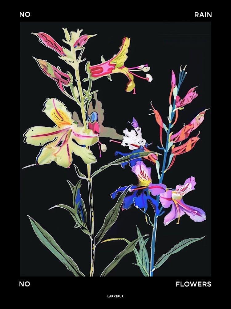 No Rain No Flowers Poster Larkspur 4
