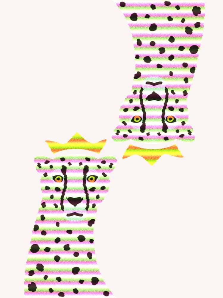 Cheetah 4