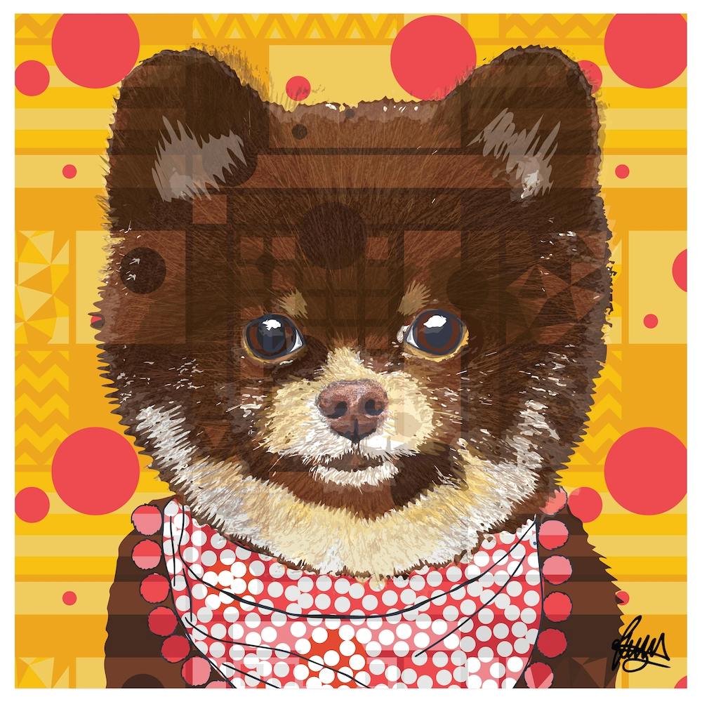 Kobe Pomeranian Dog Square
