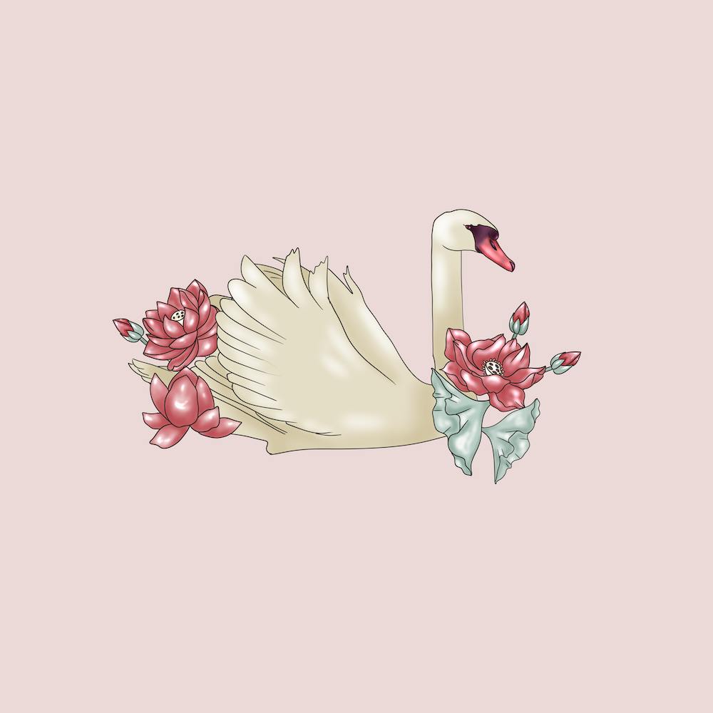 Cigno con fiori di loto