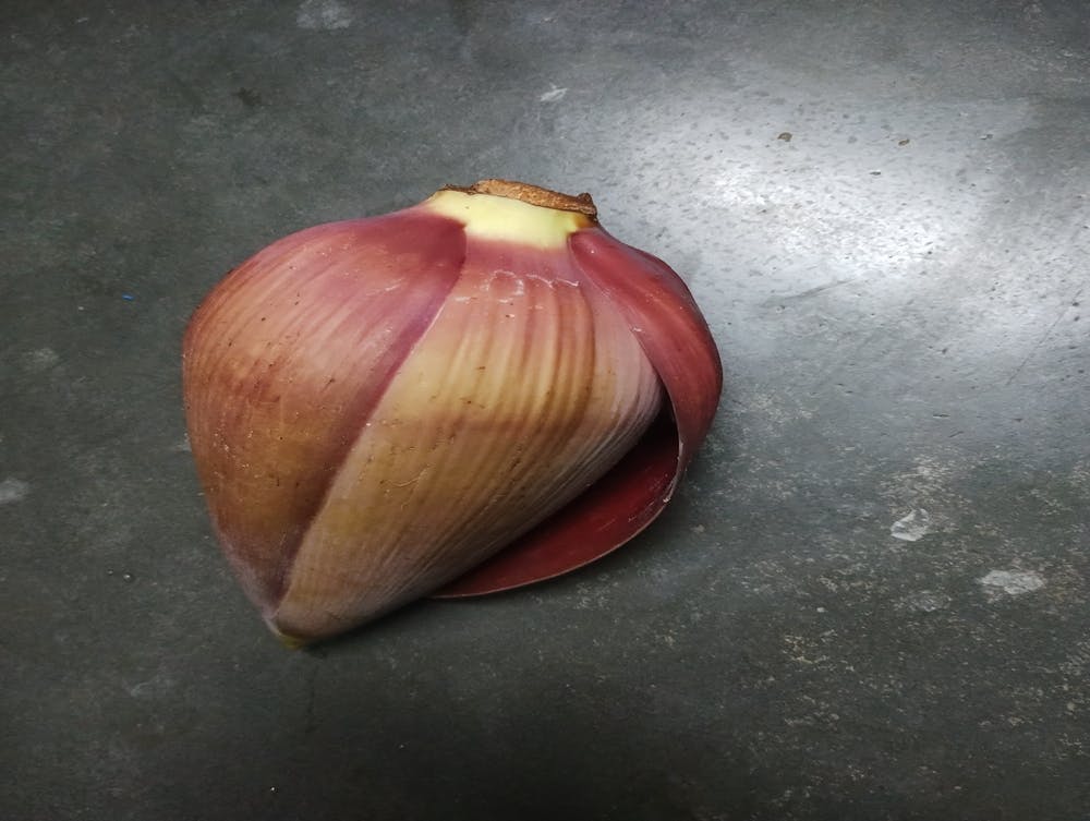 Img 20230923 152638079