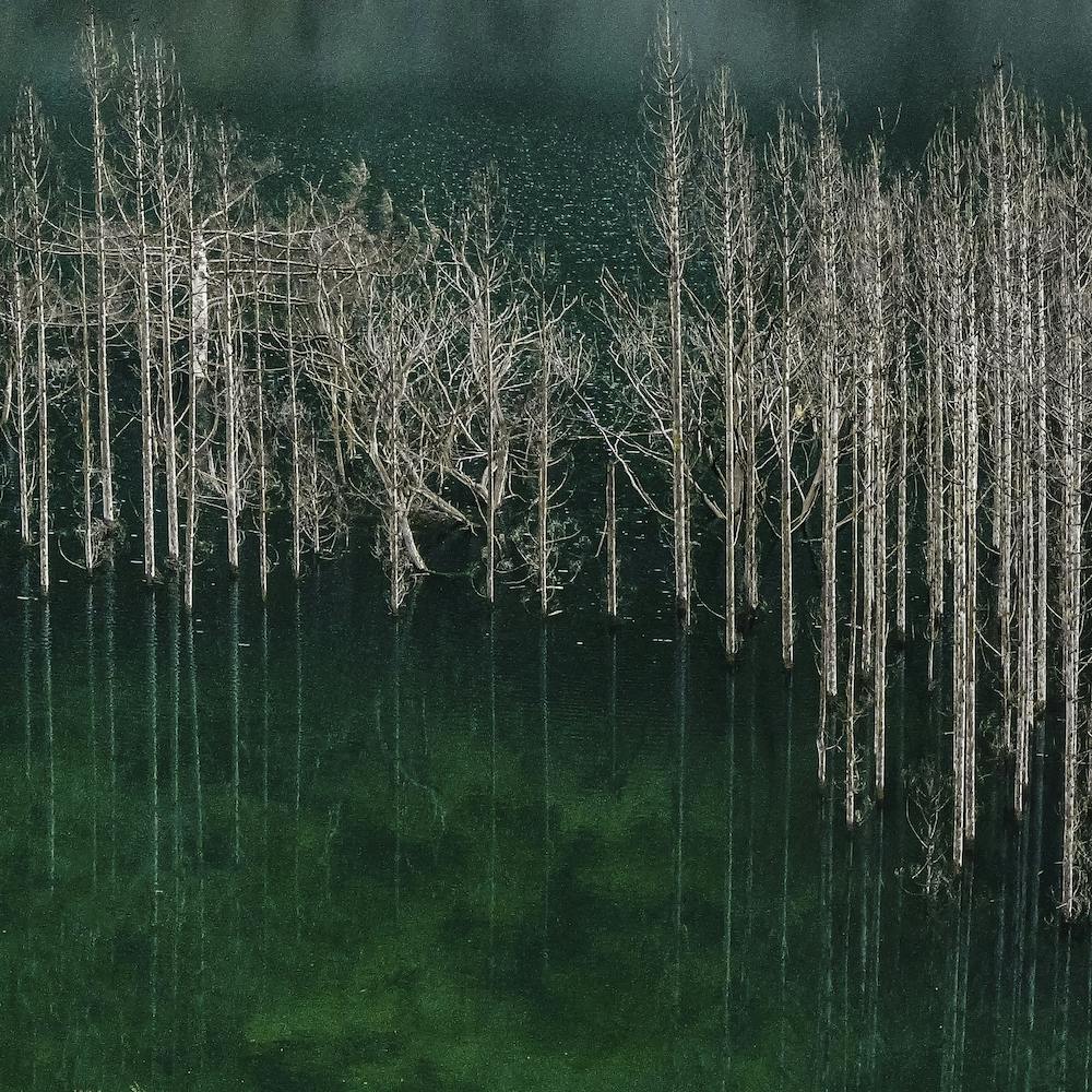 Blue Pond