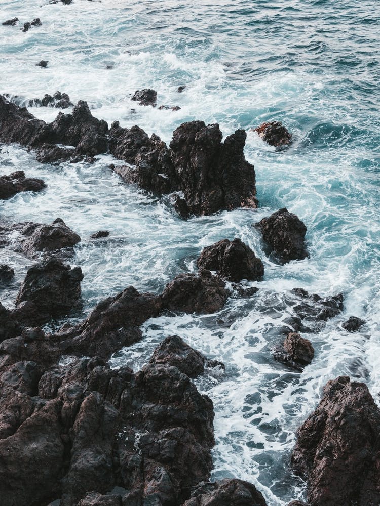 Rocky Shore, Tenerife, Canary Islands