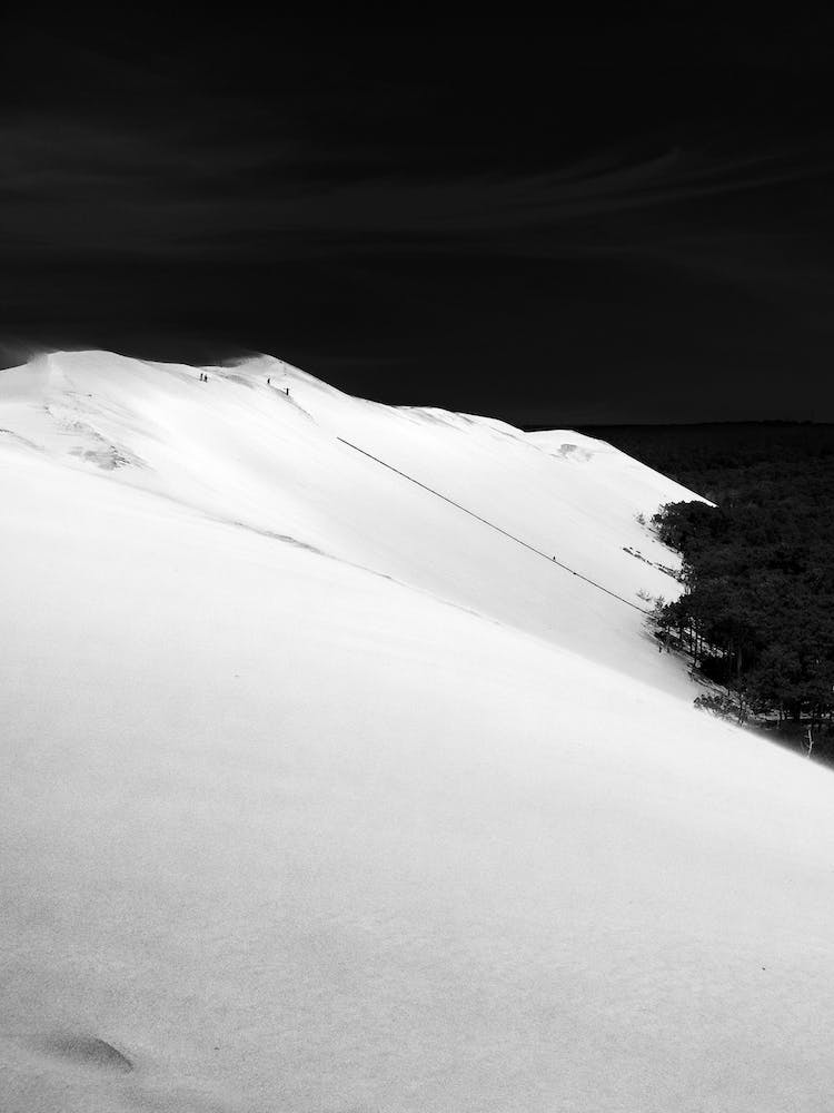 Dunedu Pilat BW Vertical