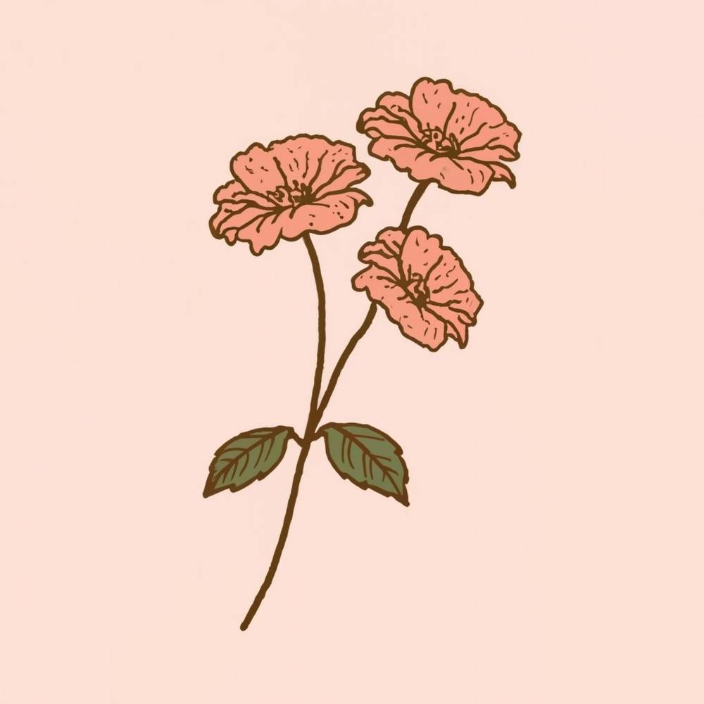 Pink Flowers On A Pink Background