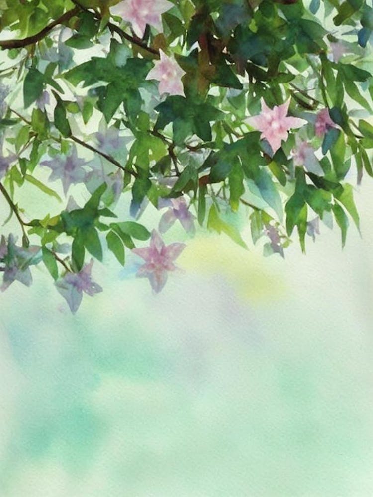 Stargazer Storybook Watercolour