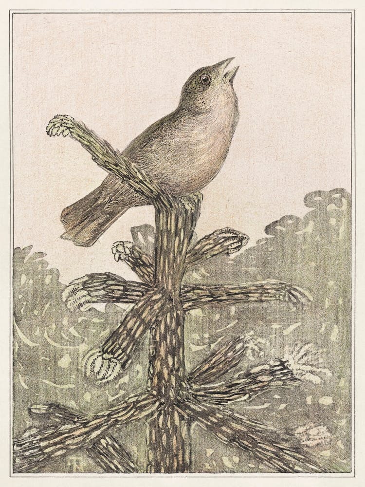 Singing Bird On A Pine Tree (1878–1906), Theo Van Hoytema