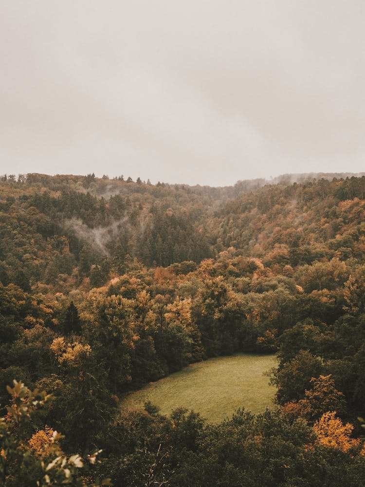 Autumn In Germany