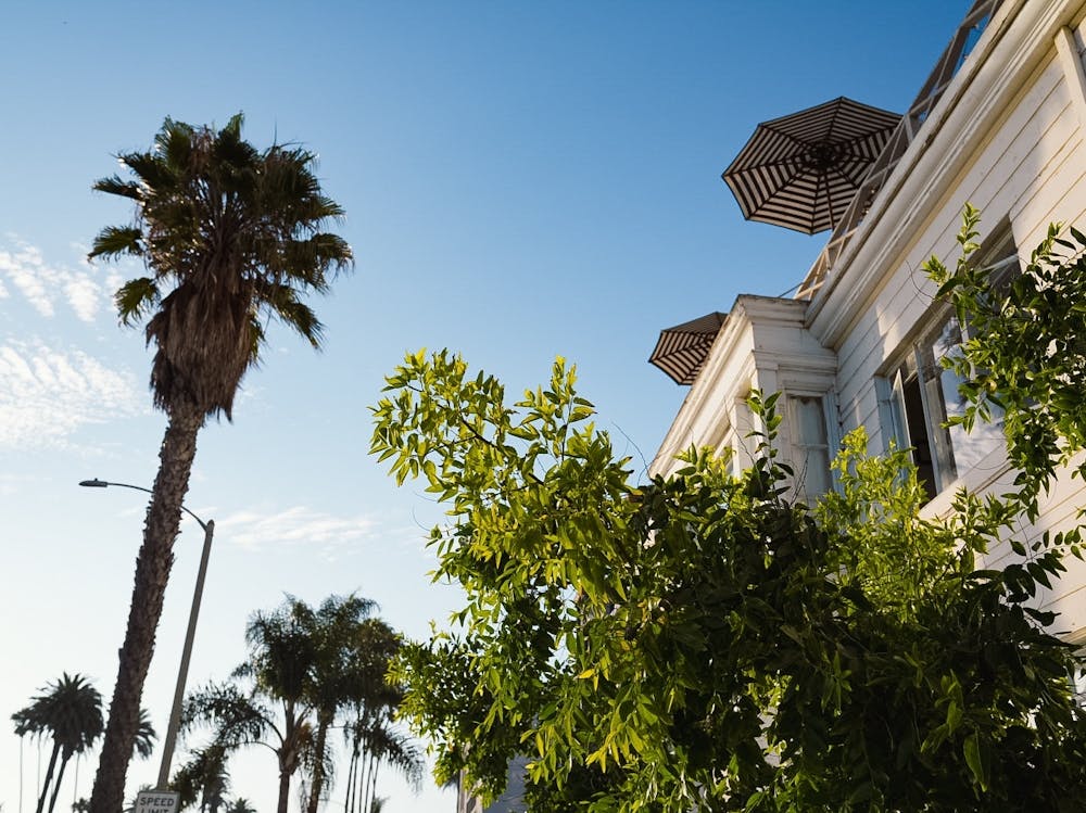 Santa Monica Walk