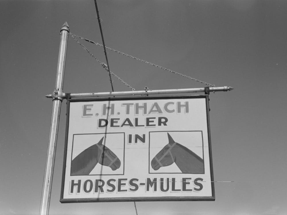 Sign Of Horse And Mule Dealer, Eudora, Arkansas By Russell Lee