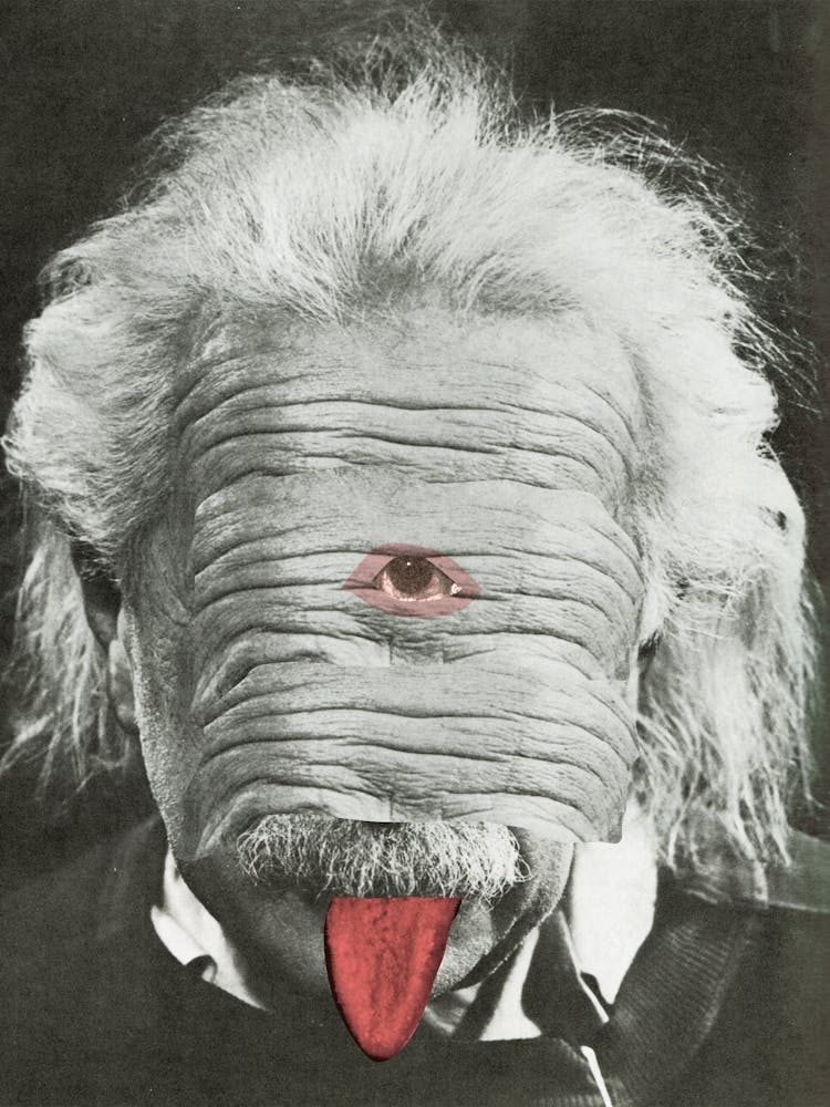 Portrait Albert Einstein Fun Disaster Area +