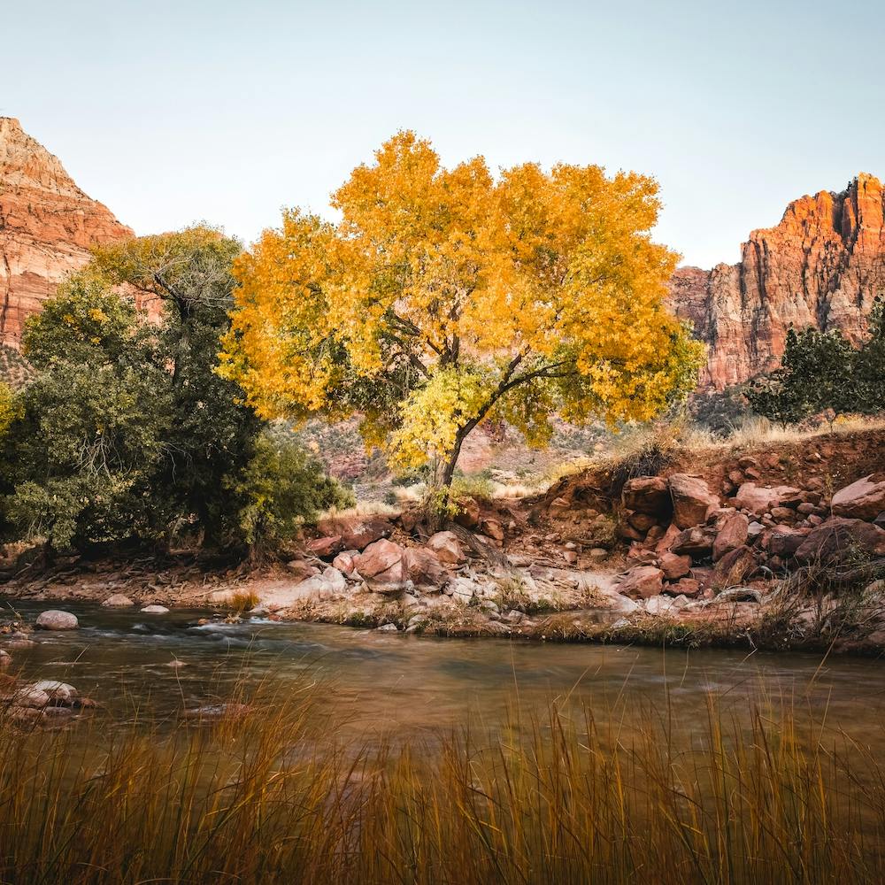 Zion National Park Square