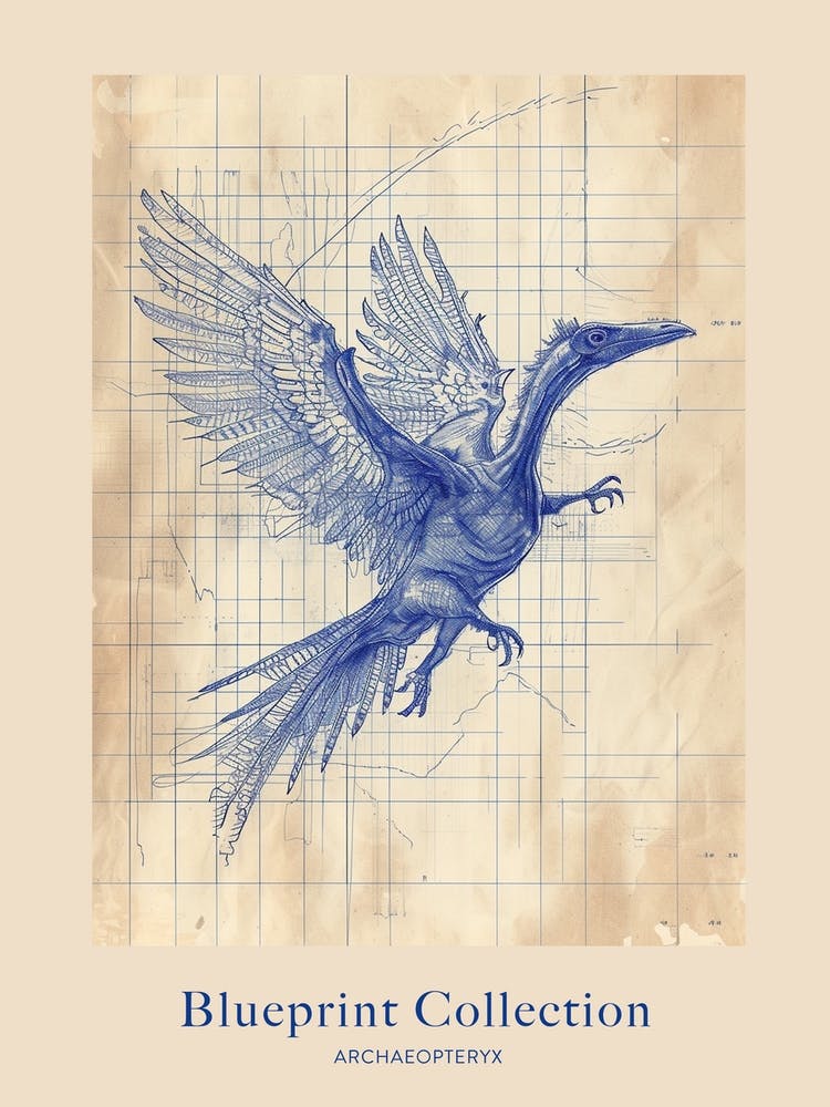 Archaeopteryx Dinosaur Blue Print Sketch 1 Poster