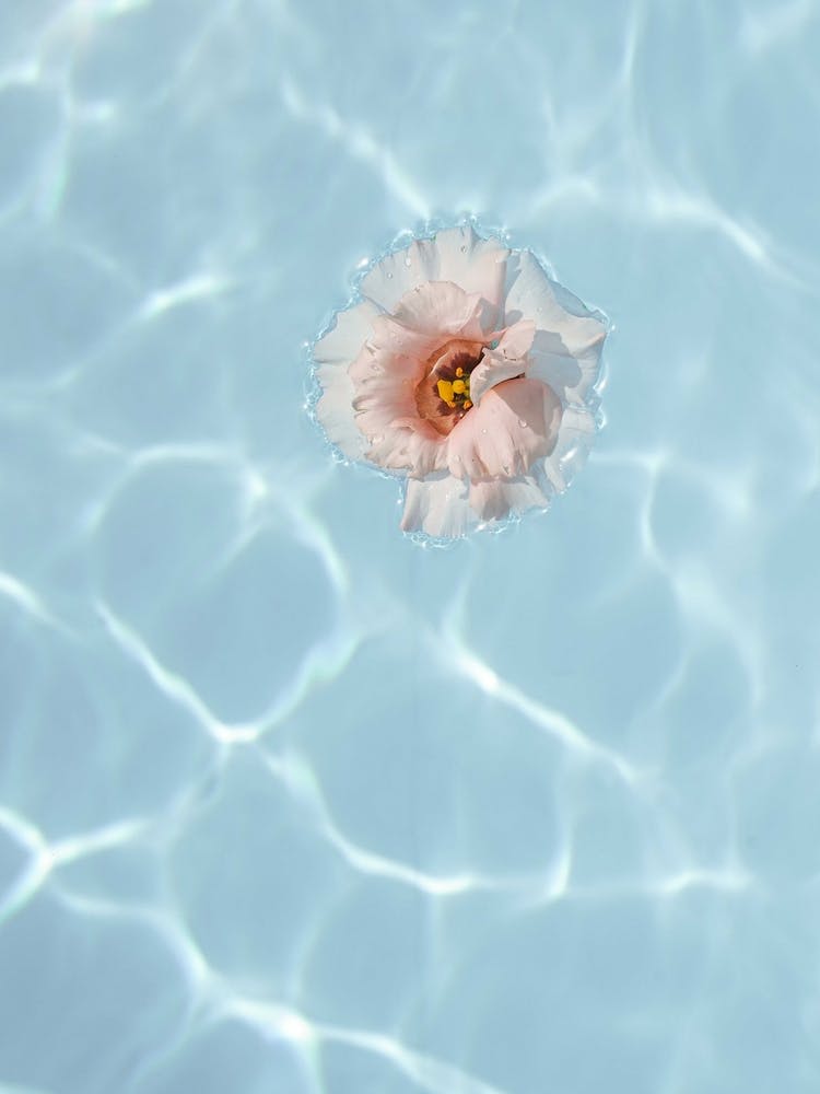 Floating Flower