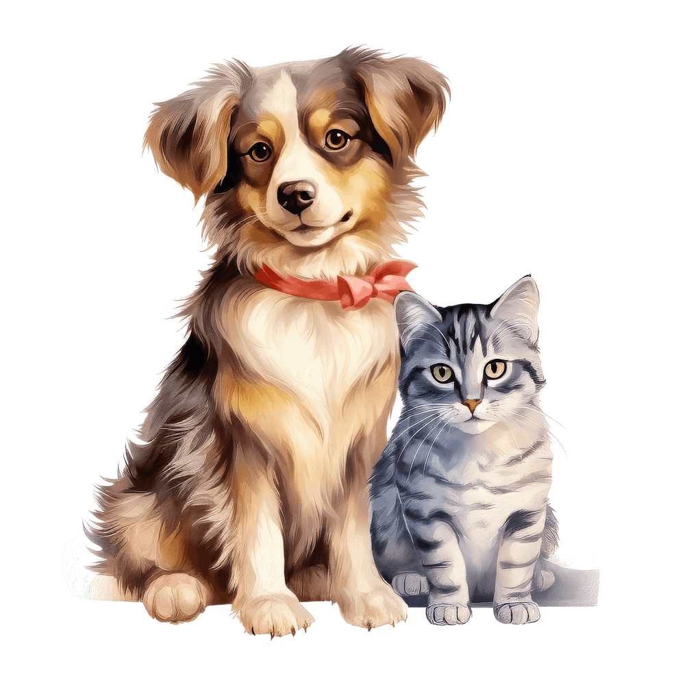 Cat and Dog Friends 3