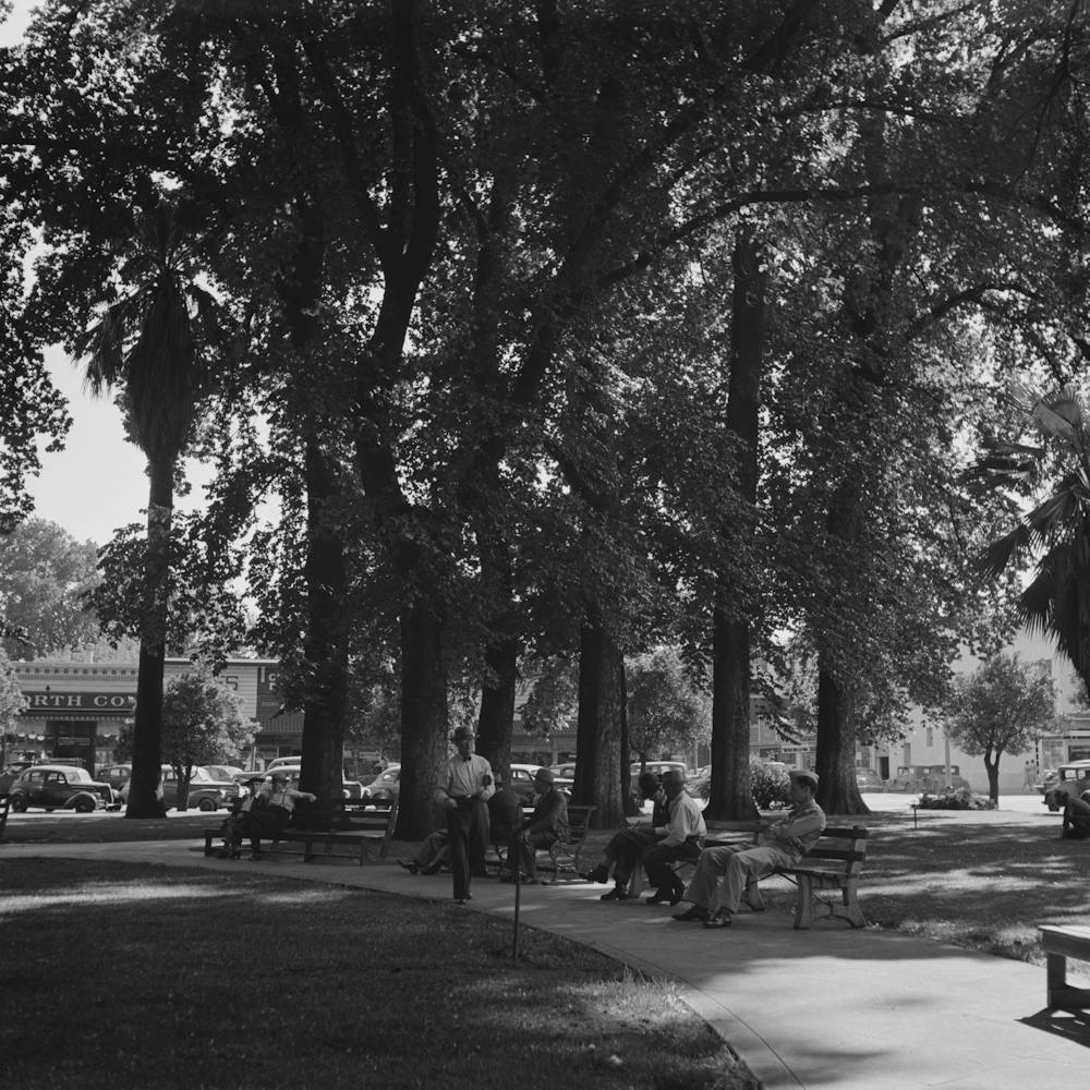 Unbetiteltes Foto, möglicherweise bezogen auf Chico, California, City Park von Russell Lee
