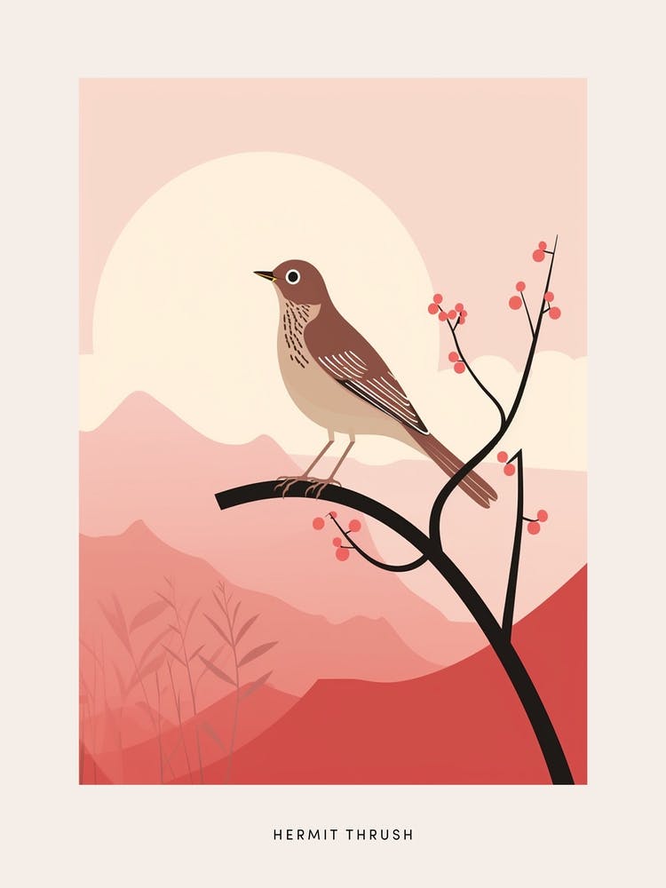 Minimalistische Einsiedlerdrossel 4 Vogel Poster