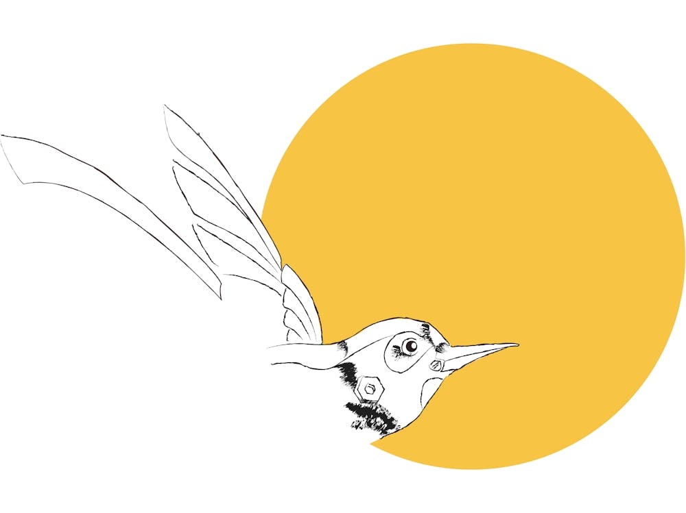 to the Sun