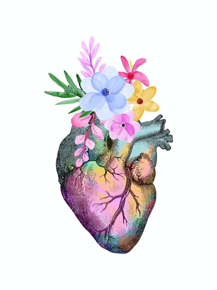 Heart Anatomy 2 Black And White