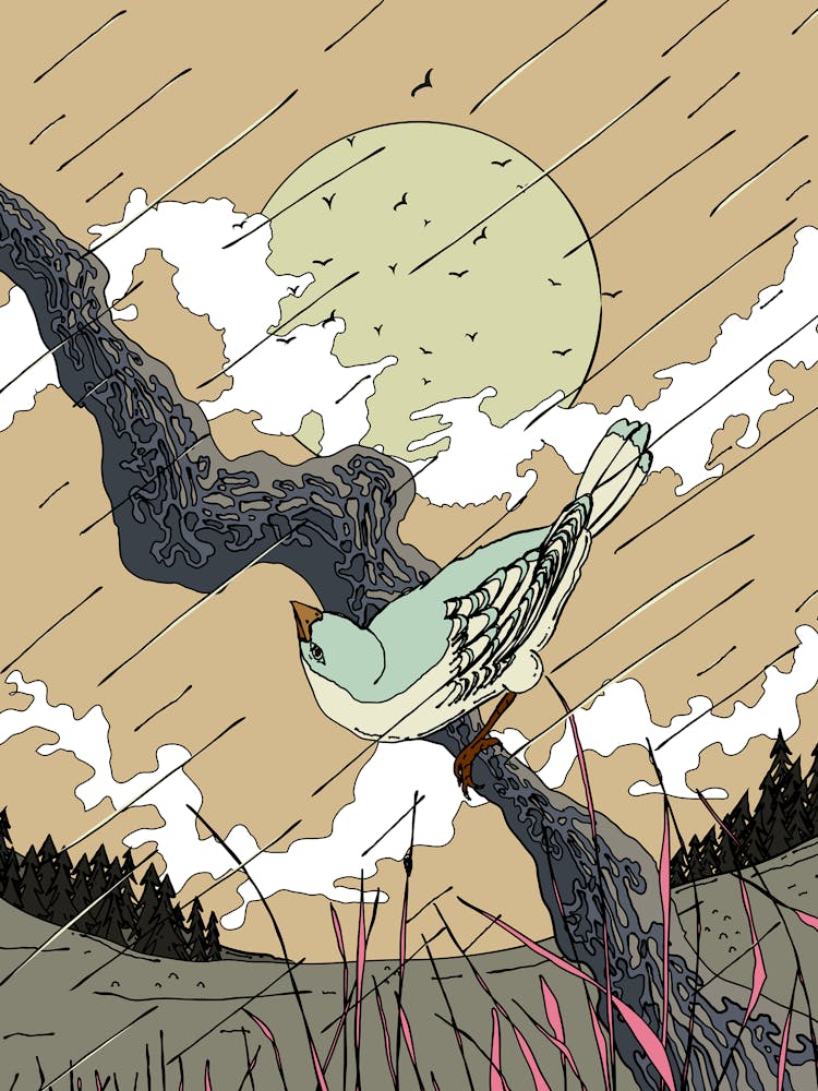 Bird In The Rain