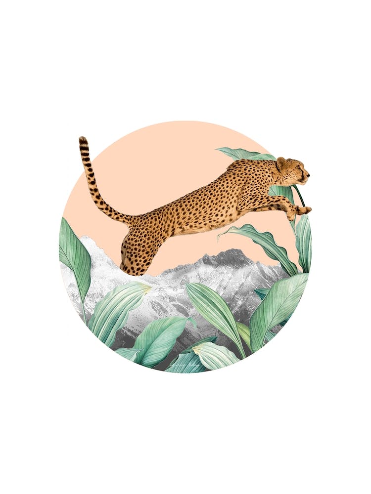 Cheetah Collage