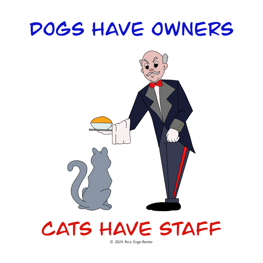 Dogs Have Owners Cats Have Staff (2)