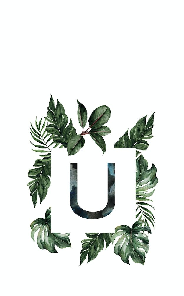 Botanical Alphabet U