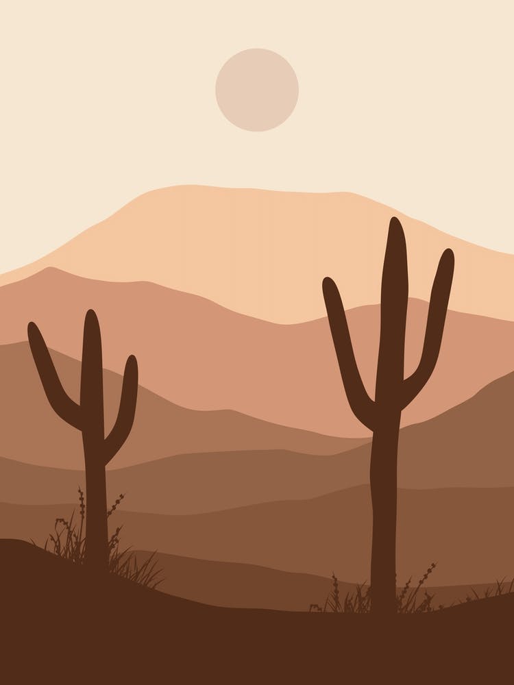 Cactus In The Desert 19