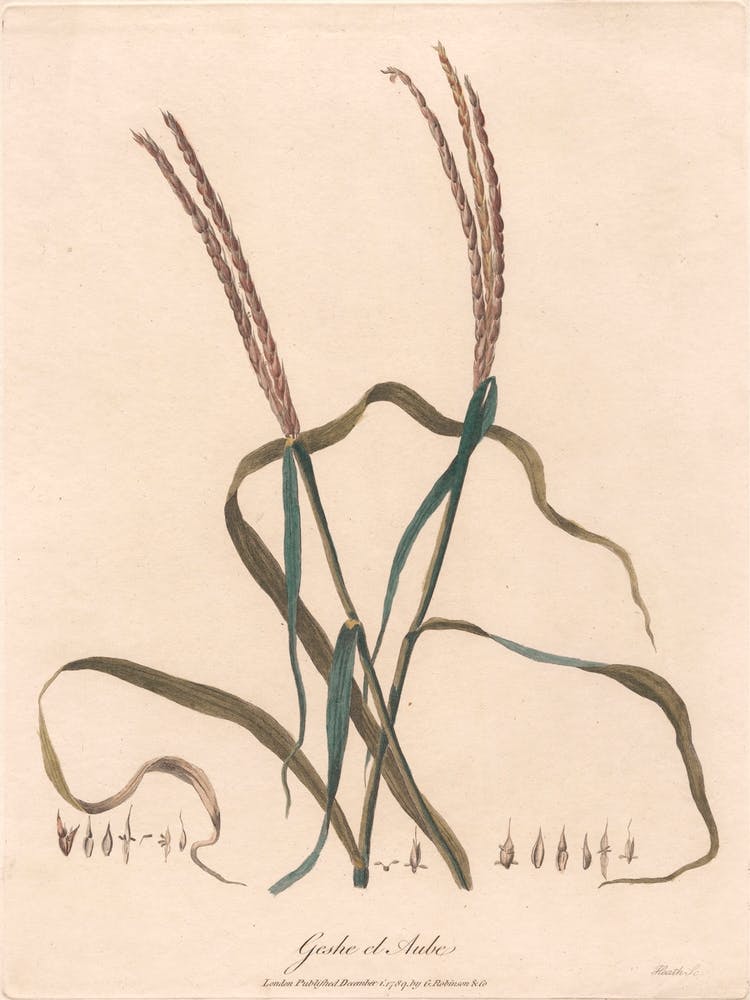 Geshe El Aube, James Heath