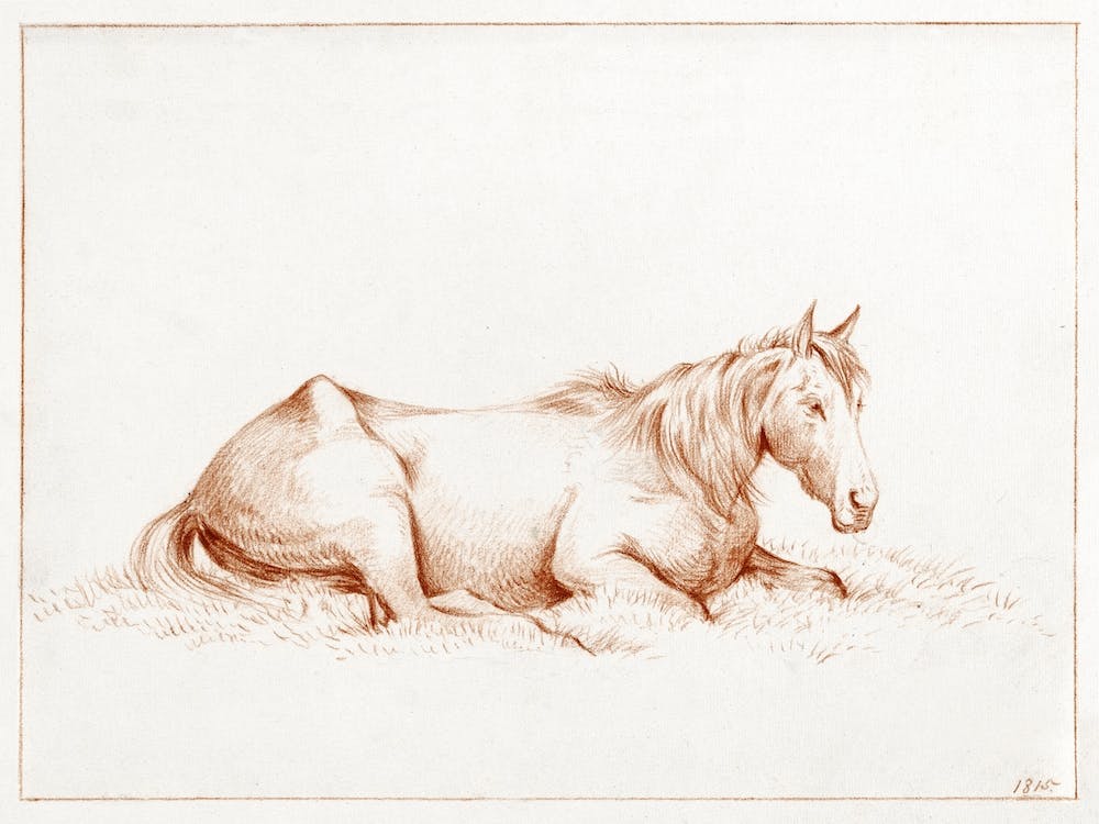 Horse Lying In The Grass, Jean Bernard