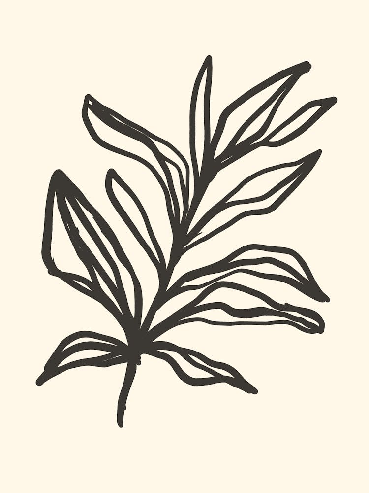 Lily Of The Valley 4