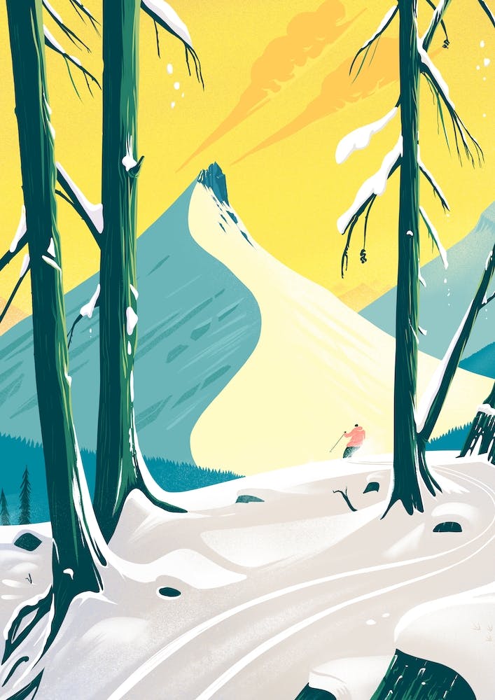 The Quiet Of The Woods Ski