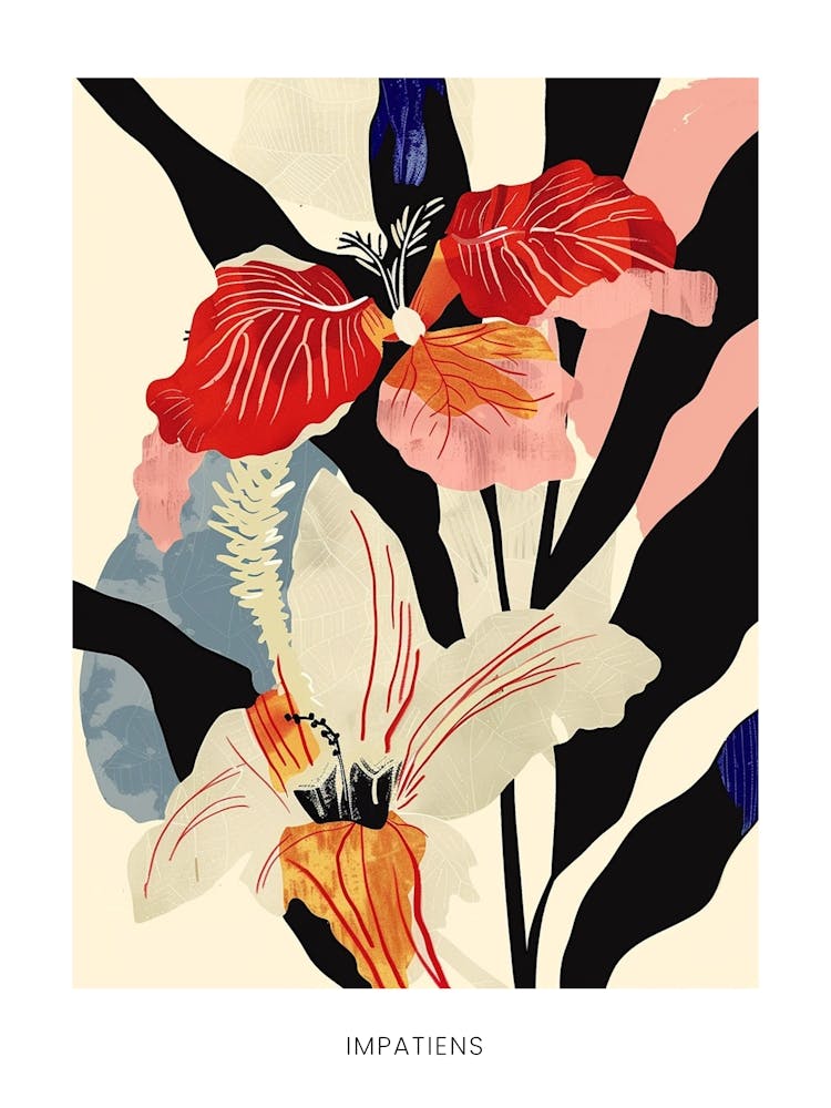 Colourful Flower Illustration Poster Impatiens 2
