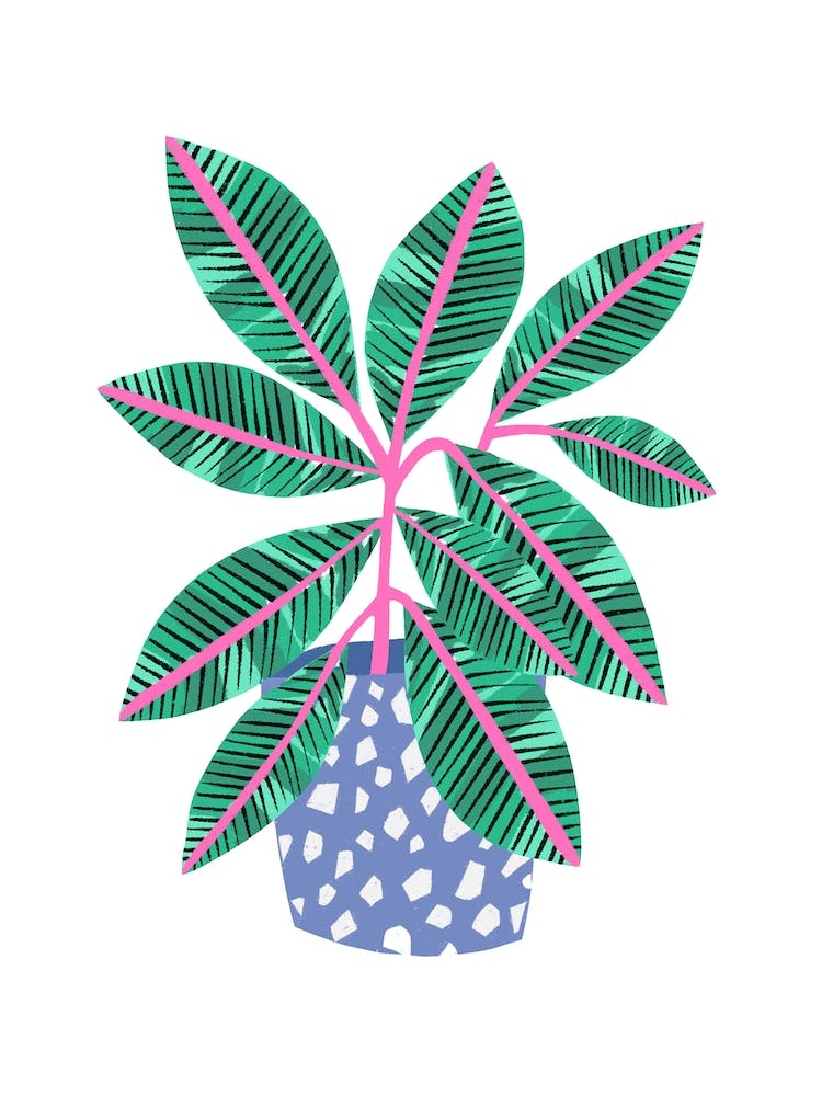 Plant In Terrazzo Pot