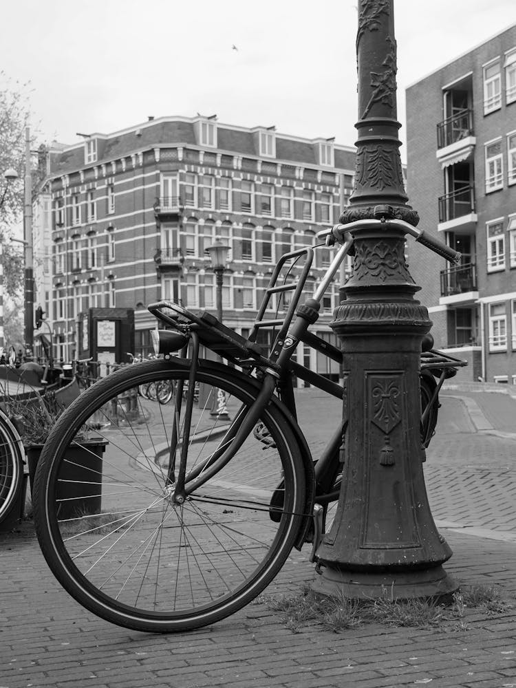 Amsterdam Street Scene