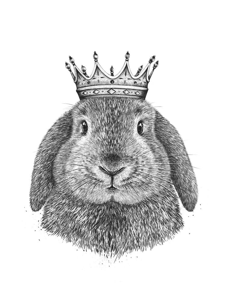 King Rabbit