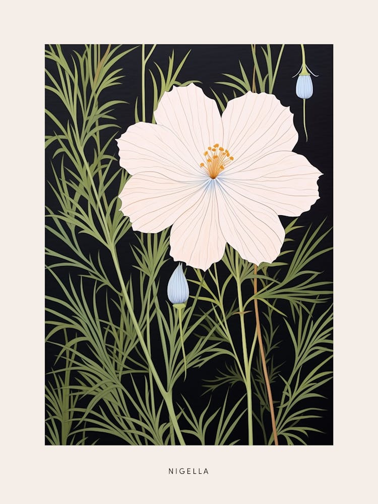 Flower Illustration Love In A Mist Nigella 2 Poster