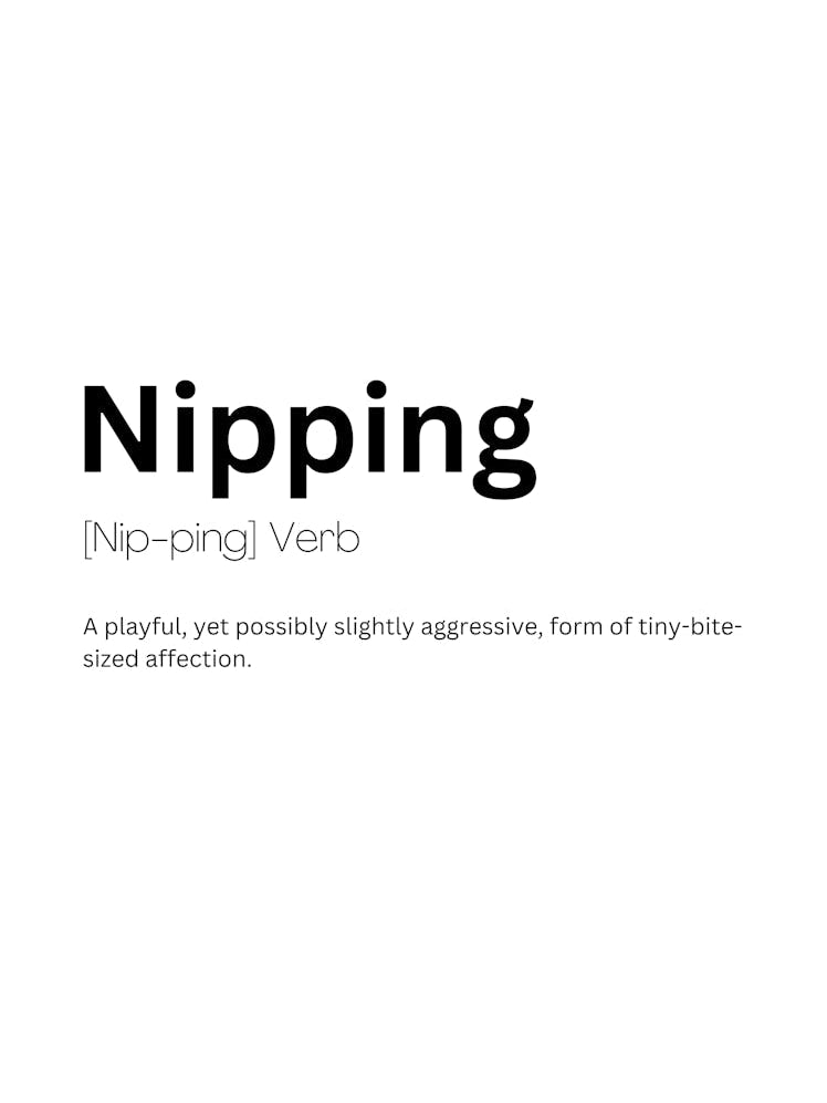 Nipping Definition Meaning