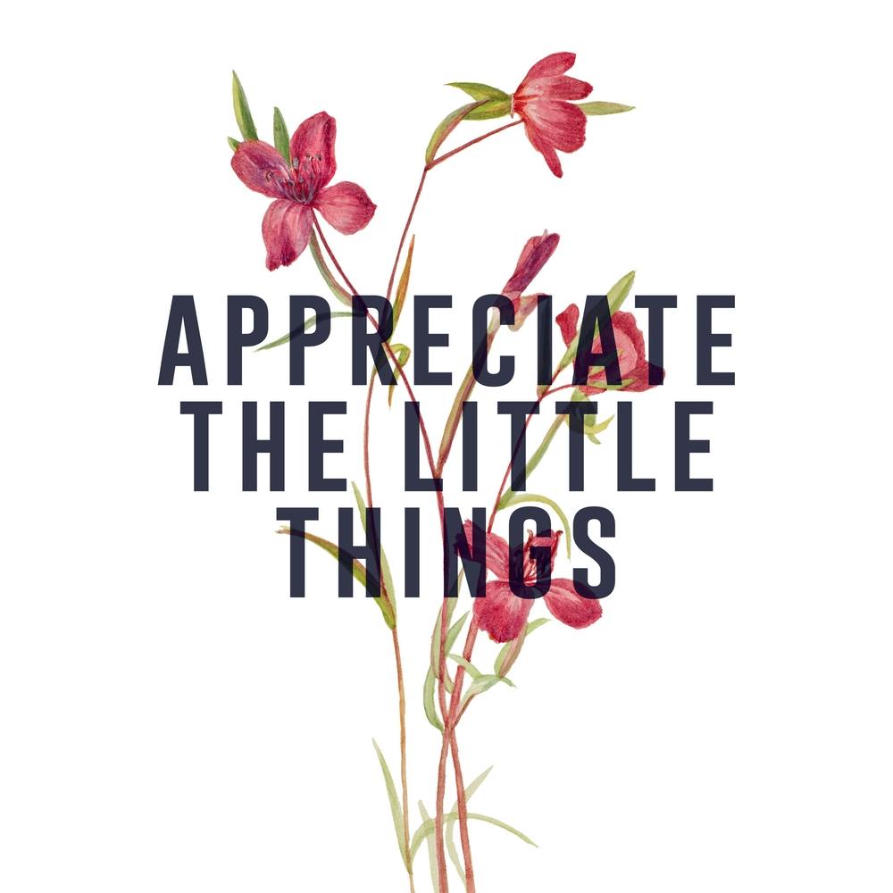 Appreciate The Little Things Square